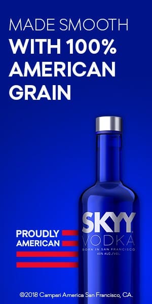 Alcohol Advertising – Skyy Vodka – 300×600 Alcohol Advertising - Skyy Vodka - 300x600