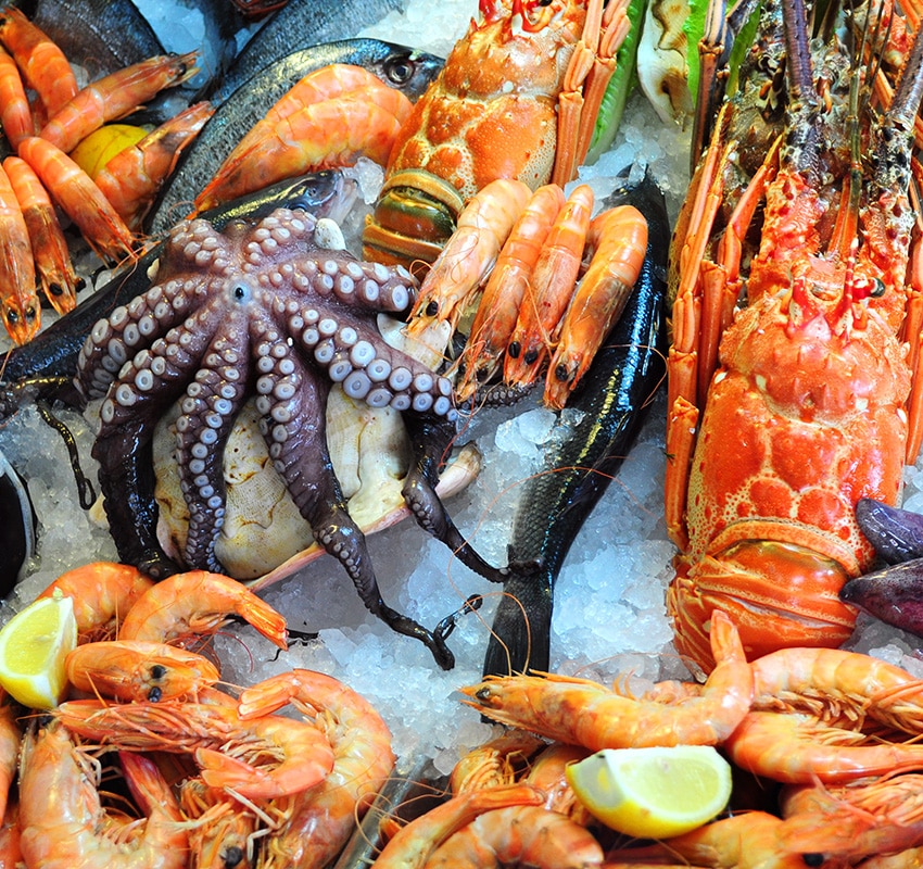 Seafood Advertising Case Study