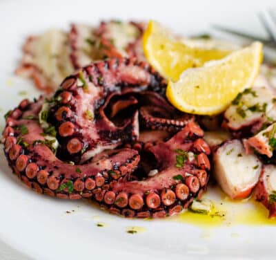 Mediterranean Cuisine Targeting Mediterranean Cuisine Targeting