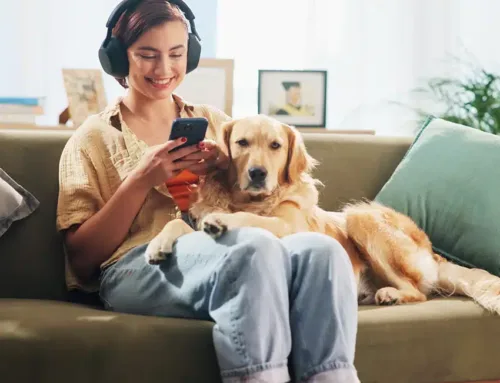 Amazon Audio Ads Guide