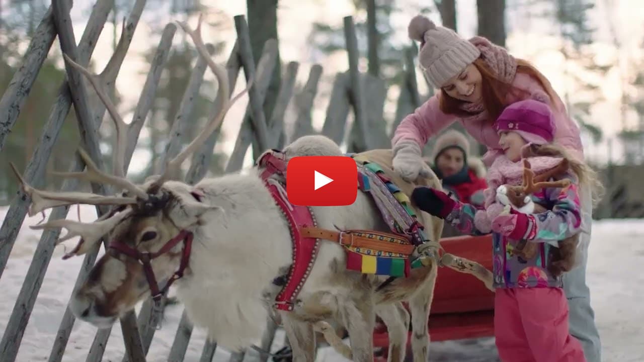 Spinney's | “Your Spinneys Christmas tree could take you to Lapland”
